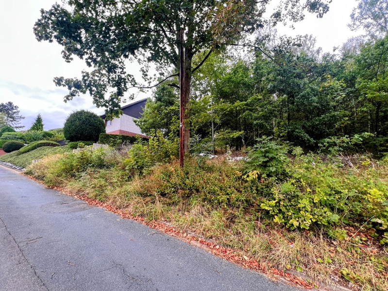 Foto - Straßenansicht-3