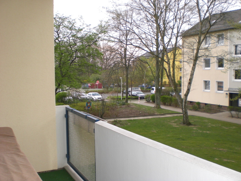 Foto - CIMG4310
